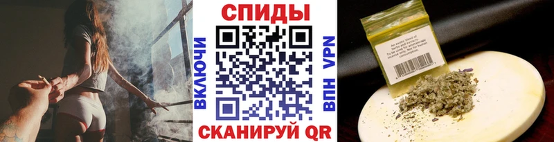 блэк спрут вход Бодайбо Бутират буратино