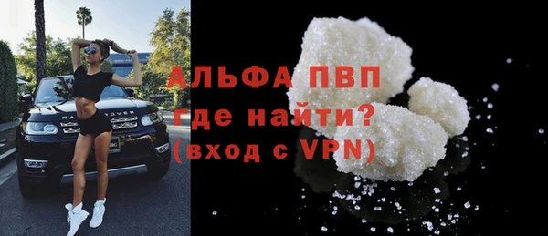 прущие грибы Санкт-Петербург