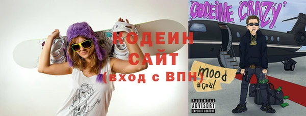 прущие грибы Санкт-Петербург