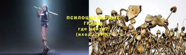 прущая мука Ессентукская