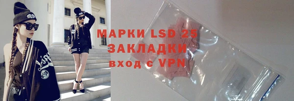 прущие грибы Санкт-Петербург