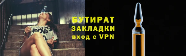 прущие грибы Санкт-Петербург