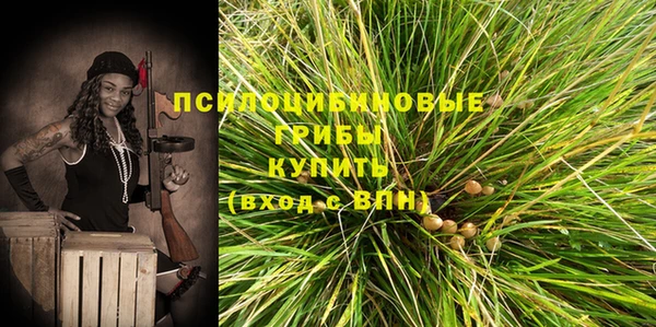 прущая мука Ессентукская