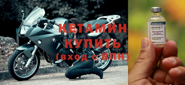 прущие грибы Санкт-Петербург
