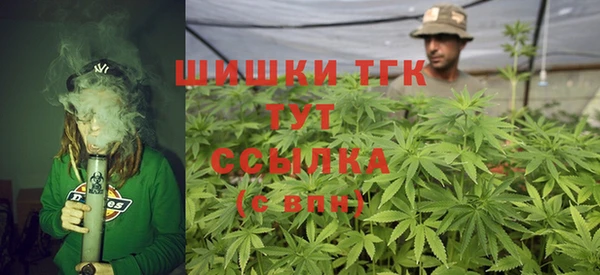 прущие грибы Санкт-Петербург