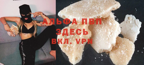 прущие грибы Санкт-Петербург