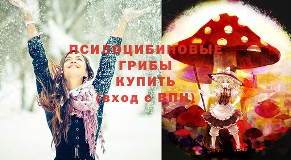 прущие грибы Санкт-Петербург