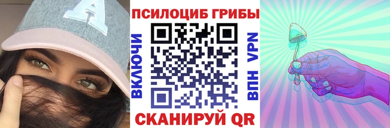 купить   blacksprut ССЫЛКА  Псилоцибиновые грибы мицелий  Бодайбо 
